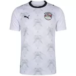 Egypt Away Jersey World Cup 2026 - thejerseys
