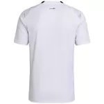 Egypt Away Jersey World Cup 2026 - thejerseys