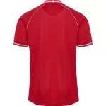 Denmark Home Jersey World Cup 2026 - thejerseys