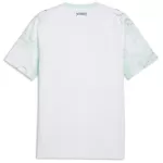 Austria Away Jersey World Cup 2026 - thejerseys