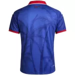 Haiti Home Jersey World Cup 2026 - thejerseys