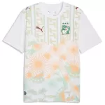 Ivory Coast Away Jersey World Cup 2026 - thejerseys
