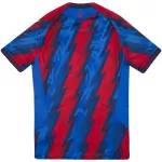 Crystal Palace Third Away Match Jersey 2026/27 - thejerseys