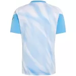 Argentina x Messi Farewell Anniversary Pre-Match Jersey 2026 - thejerseys