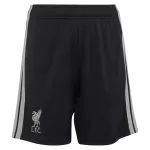 Liverpool Third Away Jersey Kit 2026/27 - thejerseys