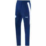 Manchester City Training Jacket Kit(Jacket+Pants) Blue 2026/27 - thejerseys